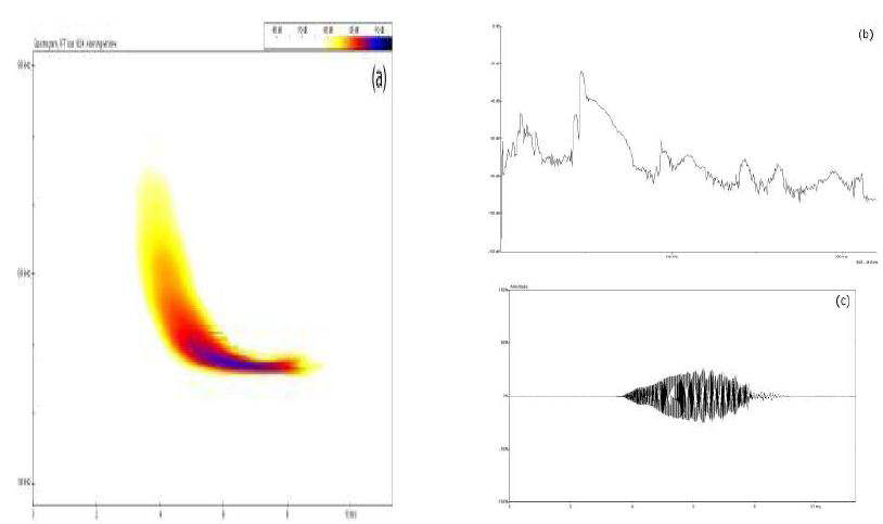 Figure 44. Spectrogram(a), power spectrum(b) and oscillogram(c) of single echolocation call of P. abramus in flight