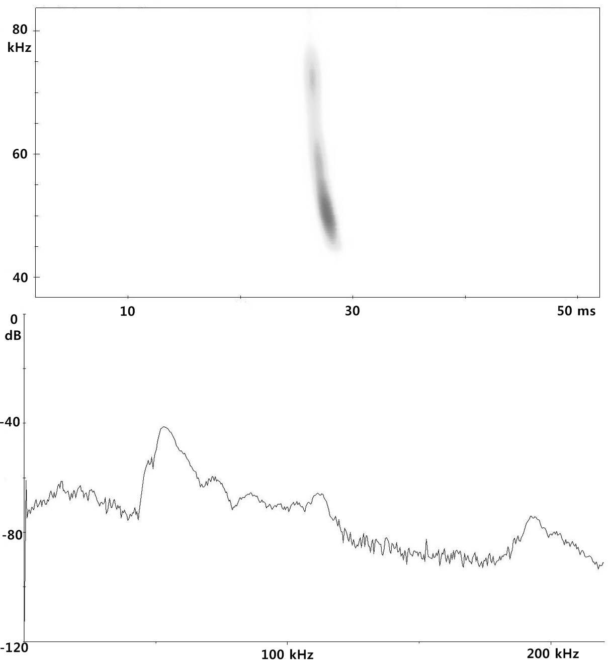 Figure 48. Spectrogram and power spectrum of Pipistrellus abramus in emergence time from day roost.