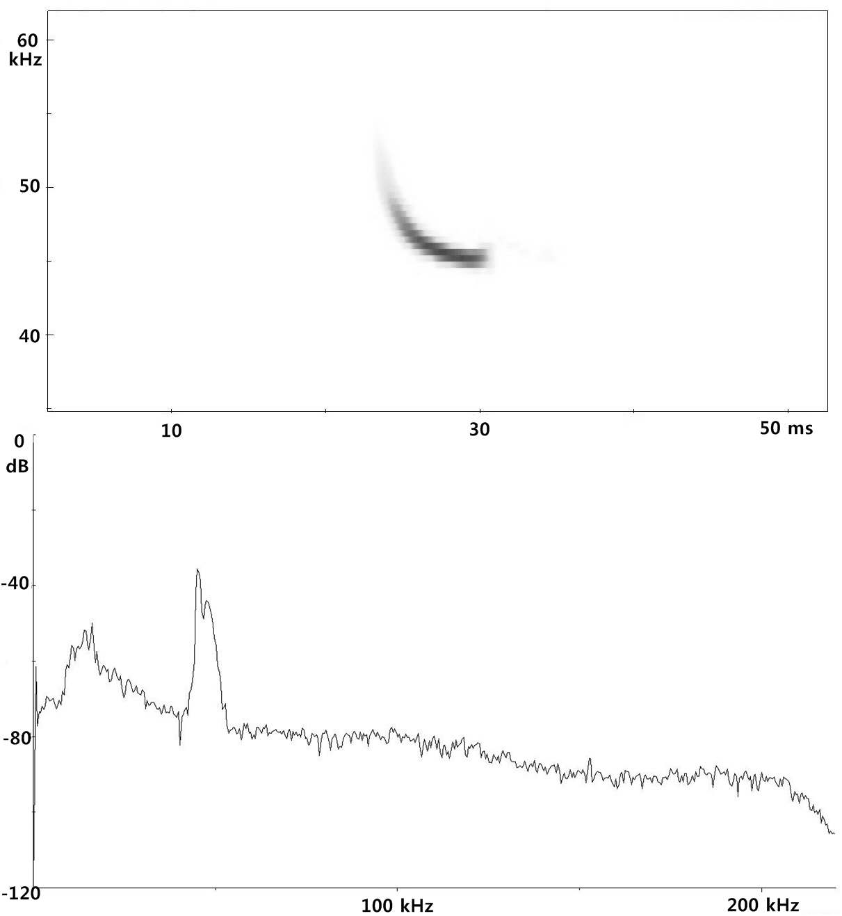 Figure 50. Spectrogram and power spectrum of Pipistrellus abramus in crossing time from day roost to feeding area.