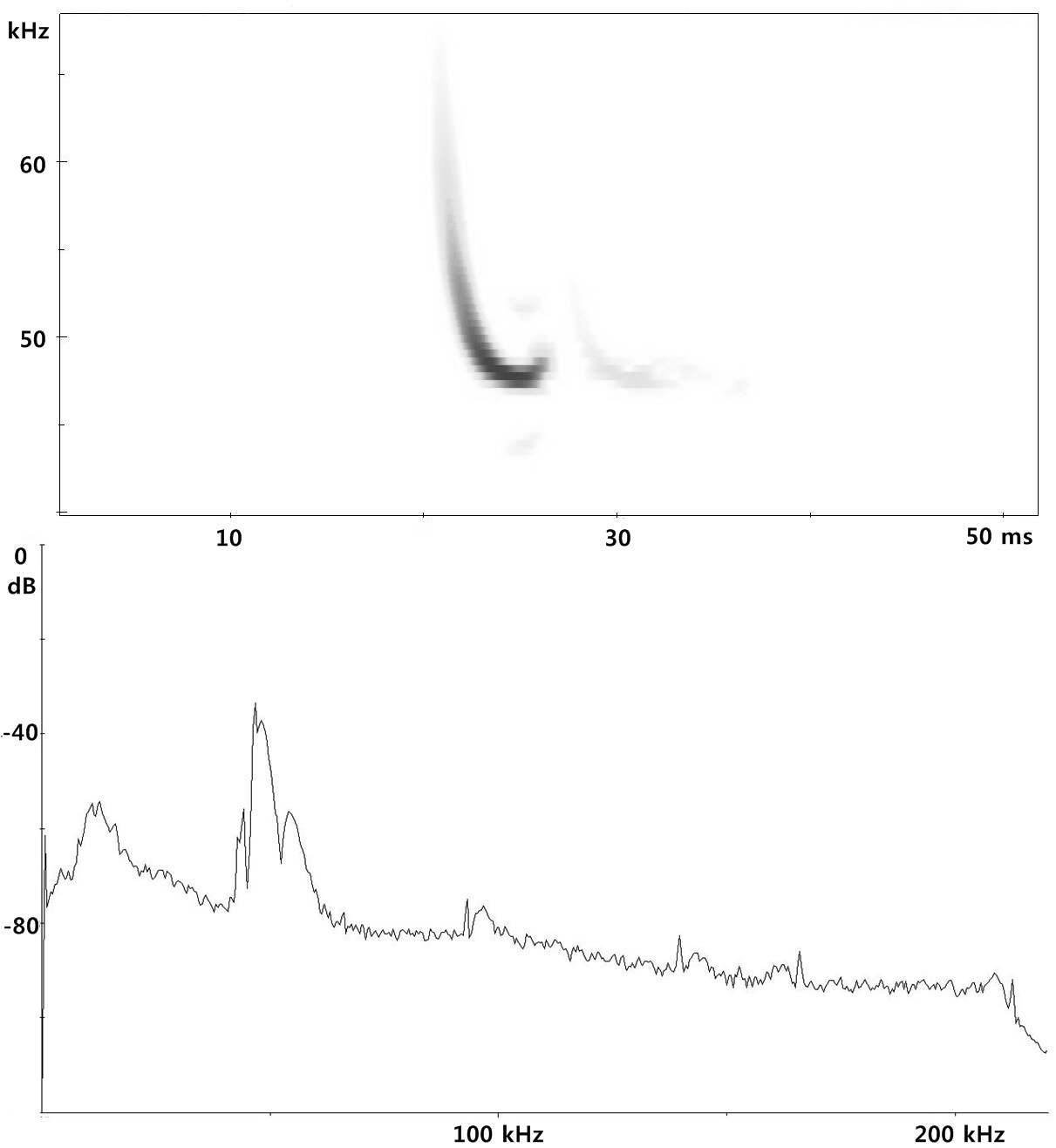 Figure 52. Spectrogram and power spectrum of Pipistrellus abramus in rice field.