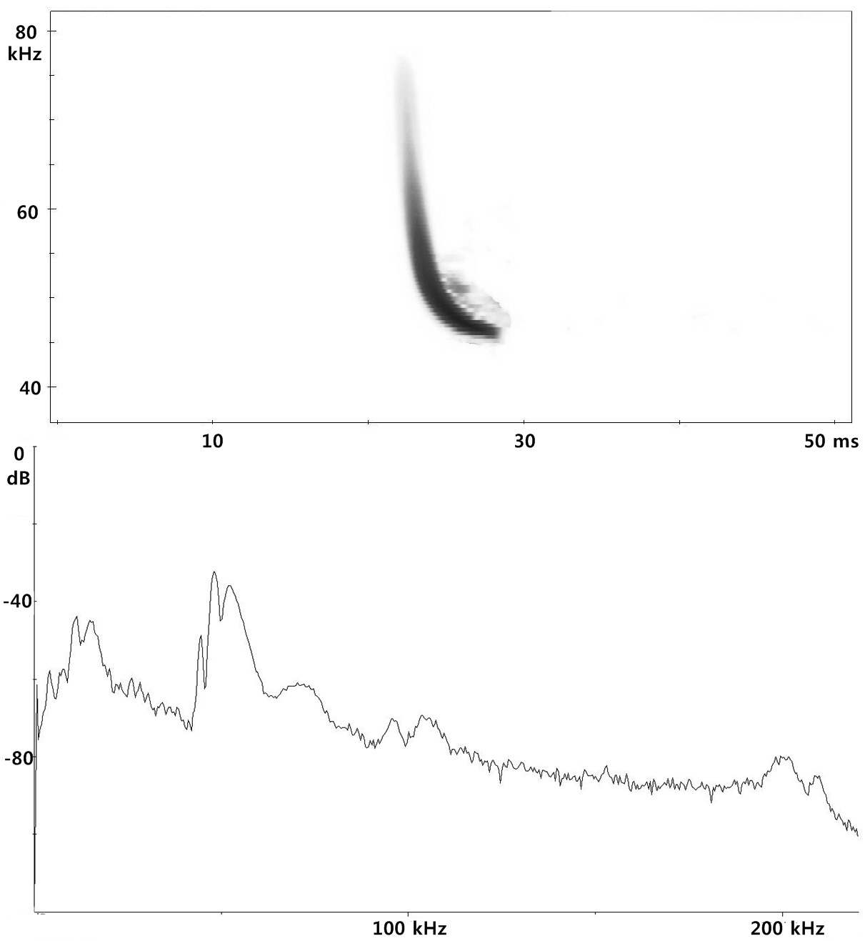 Figure 53. Spectrogram and power spectrum of Pipistrellus abramus in shrubbery and minor tree zone.