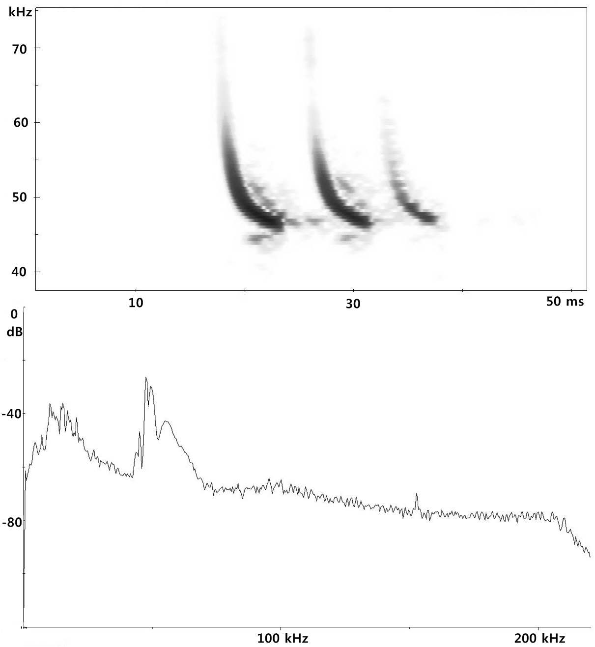 Figure 54. Spectrogram and power spectrum of Pipistrellus abramus in resident site.