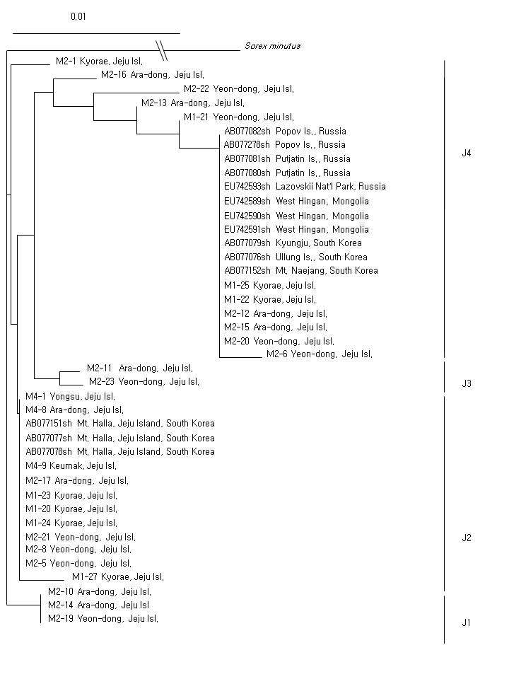 Figure 19. Neighbor-joining(NJ) tree of the mitochondrial cytochrome b gene sequences(402bp) showing genetic diversity of C. shantungensis from Jeju Island.