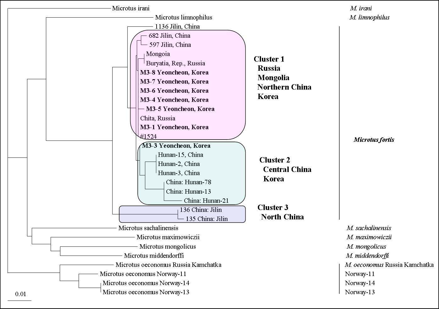 Figure 20. NJ tree constructed using mtDNA partial CYTB sequences from reed vole(Microtus fortis).