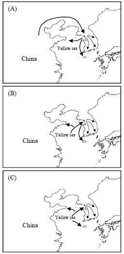 Figure 27. Hypothetical migratory histories of Korean Apodemus