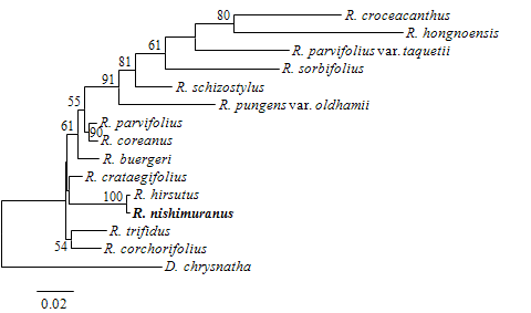 그림 3-168. 산딸기속 ITS(Internal Transcribed Spacer) 유전자의 계통수.
