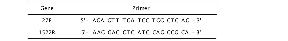 16S rDNA 유전자 primer의 서열