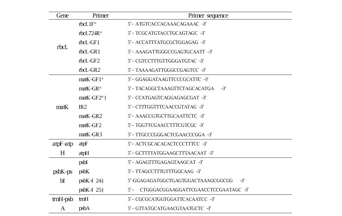 Primers used in this study