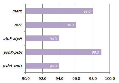 진달래목에 대한 각 마커의 염기서열 생산 성공률(%)