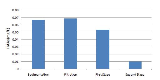 실증 Plant 및 유천정수장 여과지의 평균 HAAs 농도 변화