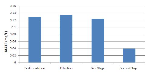 실증 Plant 및 유천정수장 여과지의 평균 HAAFP 농도 변화