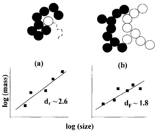 그림 3.68 프랙탈값에 따른 입자 집합체의 형성모양