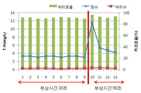 그림 3.146 원수, 유출수의 T-P 농도 및 제거효율 변화