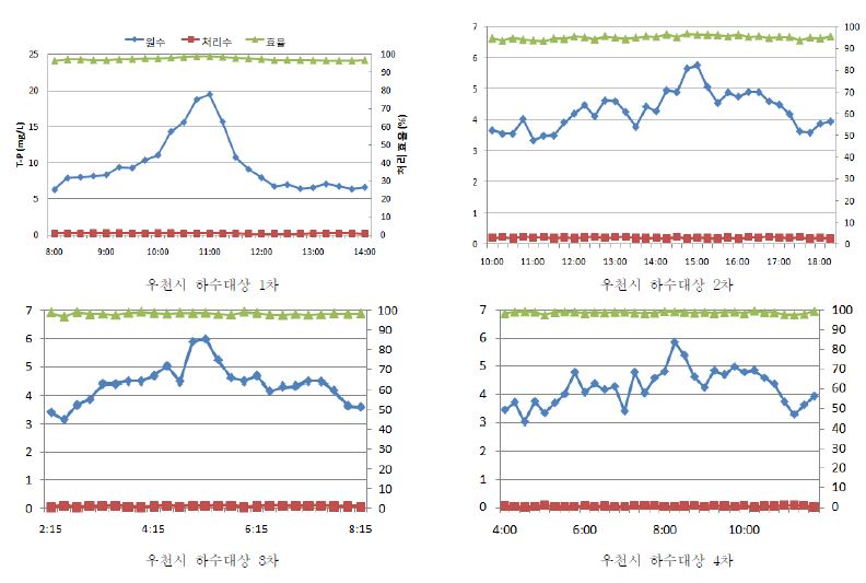 그림 3.172 원수, 유출수의 T-P 농도 및 제거효율 변화