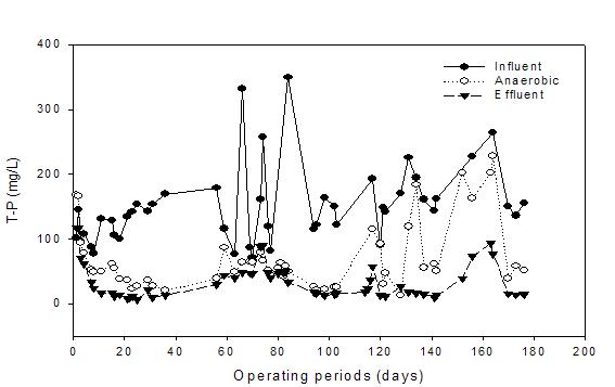 T-P 제거효율(음폐수 처리시).