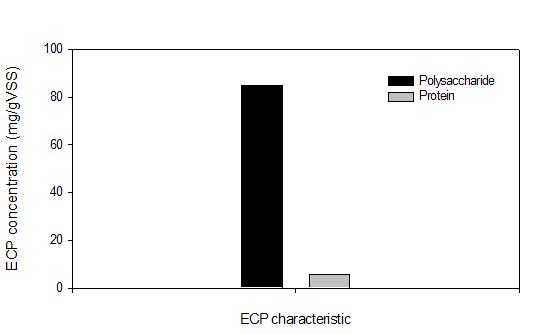ECP 내 다당류와 단백질 정량.
