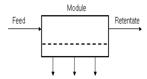 Conceptual diagram of MBR system.