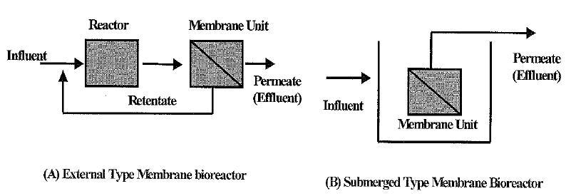 External type(a) and submerged type(b) membrane bioreactor.