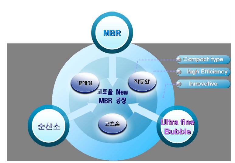 New MBR 공정의 기존 공정과의 차별성