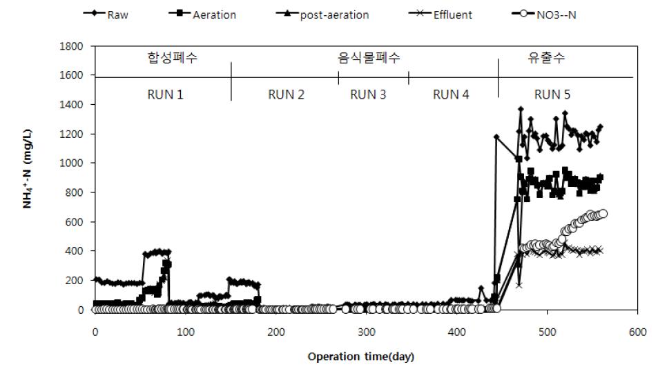 Changes of NH +4 -N during the operation time.