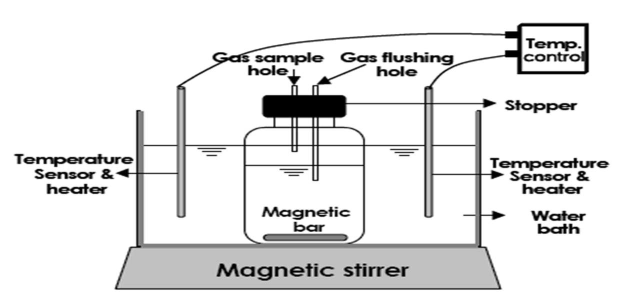 Experimental set-up of anaerobic solubilization.