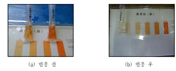 Fig. 55. Kit를 사용한 구리 농도 확인