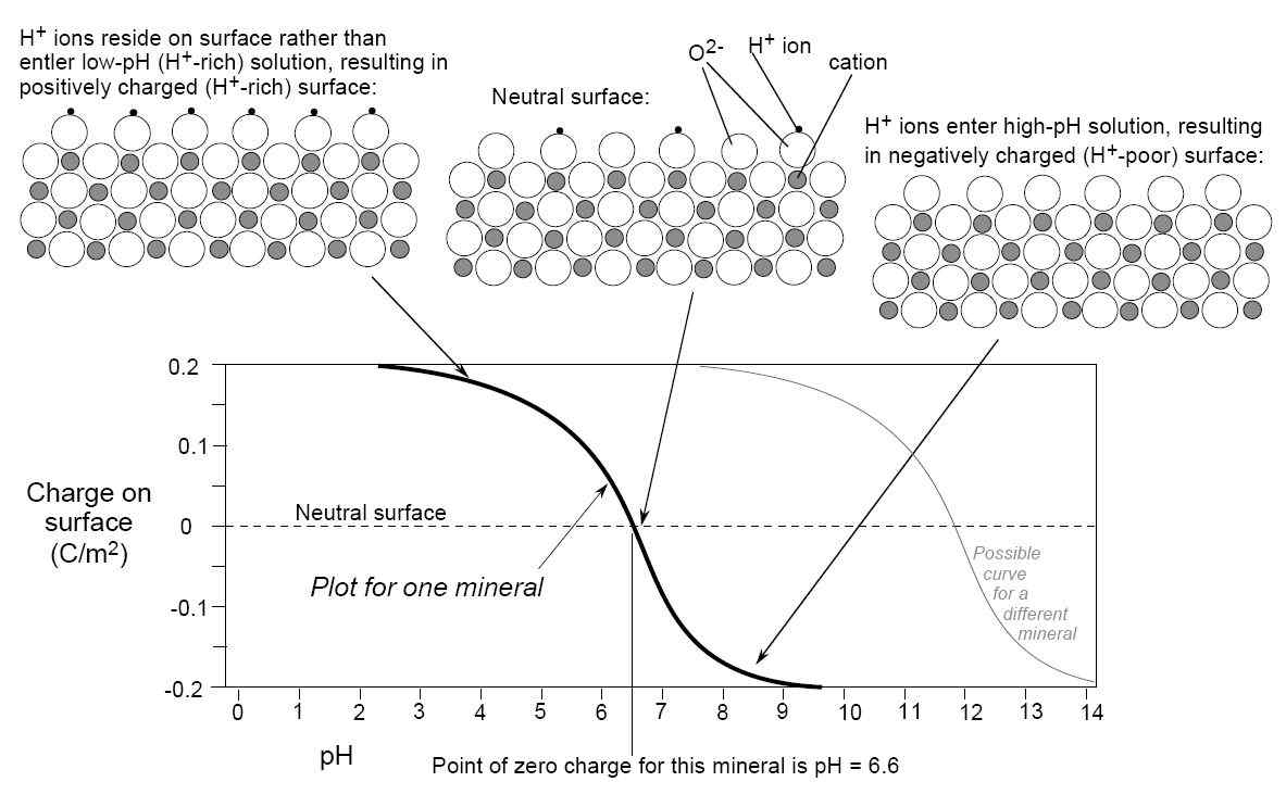 Fig. 3. 영전하점 (Point of zero charge) 도식의 예