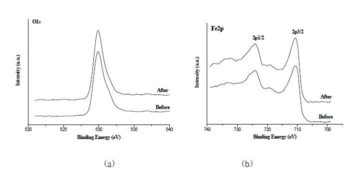 Fig. 6. 마그네타이트 나노입자의 스펙트라