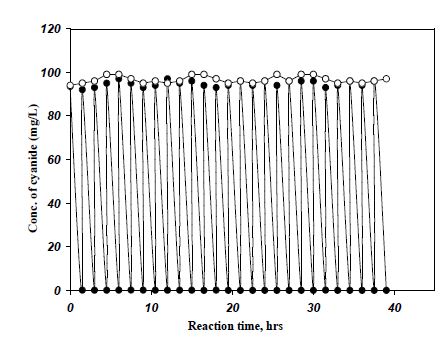 Fig. 17. pH 12 조건에서 마그네타이트 0.9g을 사용한 시안 분해에 대한 재사용