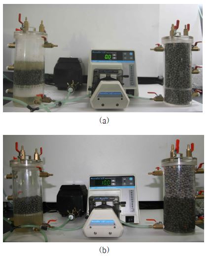 Fig. 42. 나노듀얼 반응처리시스템의 운영