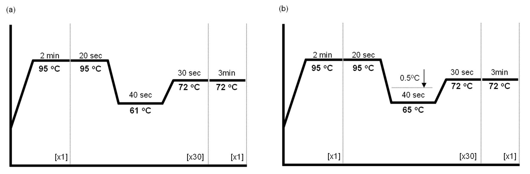 그림 3-55 Denaturing, annealing, extension 조건 별 시간 및 온도에 대한 PCR 조건