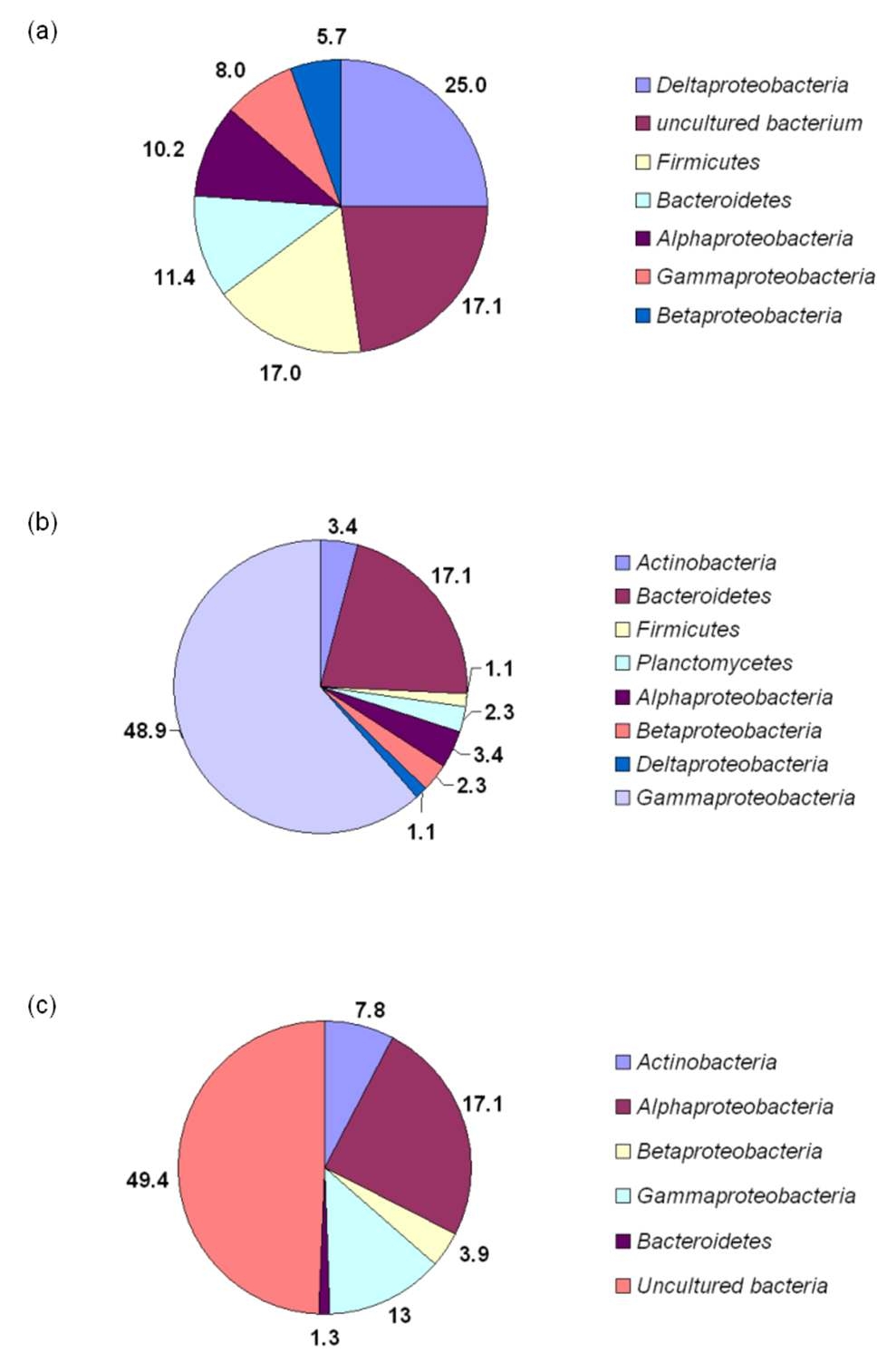 그림 3-61 16S rDNA cloning 결과 (a)Air-cathode MFC (b)Nitrate MFC (c)EFP