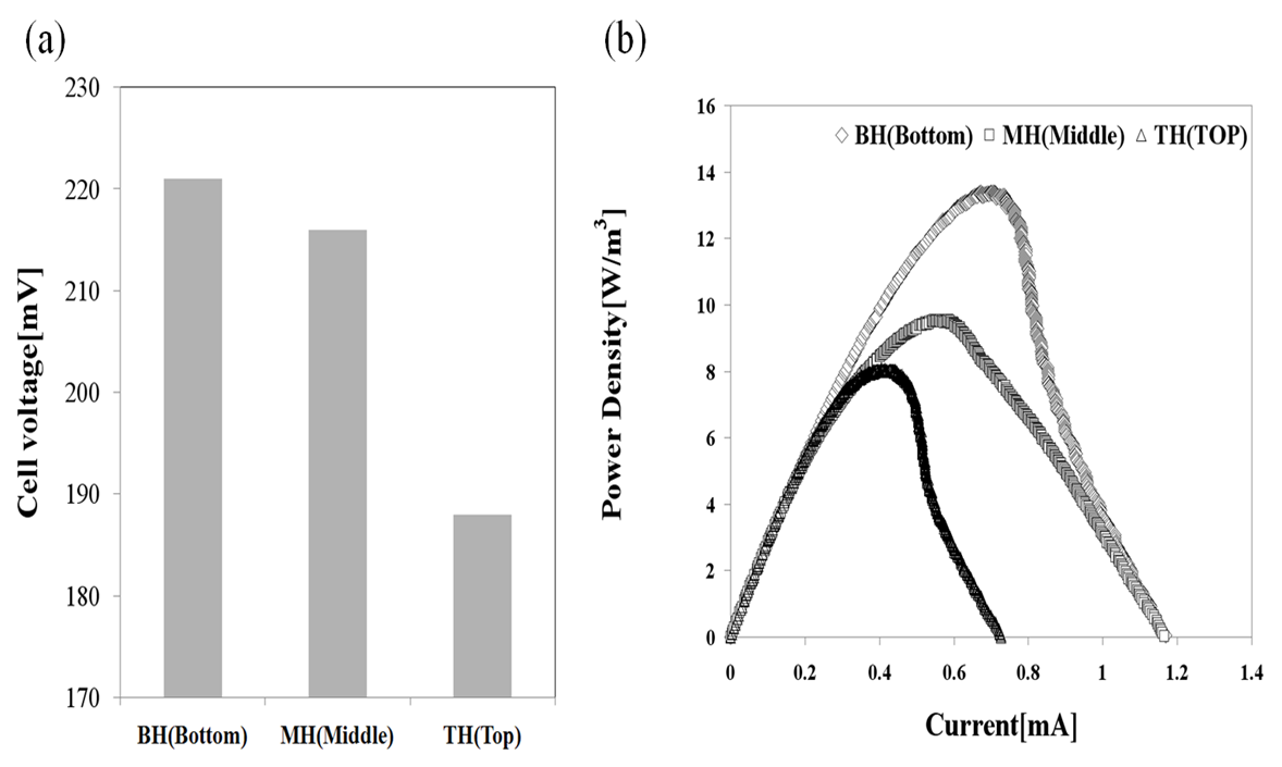 그림 3-67 EFP 단위셀 산화전극의 위치 별로 잘라낸 전극조각을 새로운 회분식 미생물연료전지의 산화전극으로 사용하였을 때, 각 미생물연료전지의 셀 전압과 최대 전력밀도