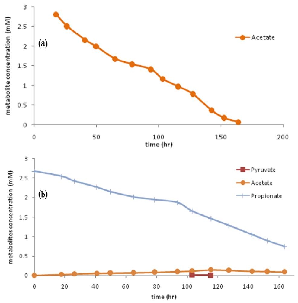 그림 3-90 외부저항 별 대사산물 비교 (a)acetate 주입 (b)propionate 주입