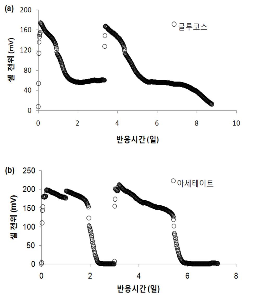 그림 3-97 회분식 미생물 연료전지에서의 기질에 따라 발생되는 셀 전위 (a) 글루코스, (b) 아세테이트