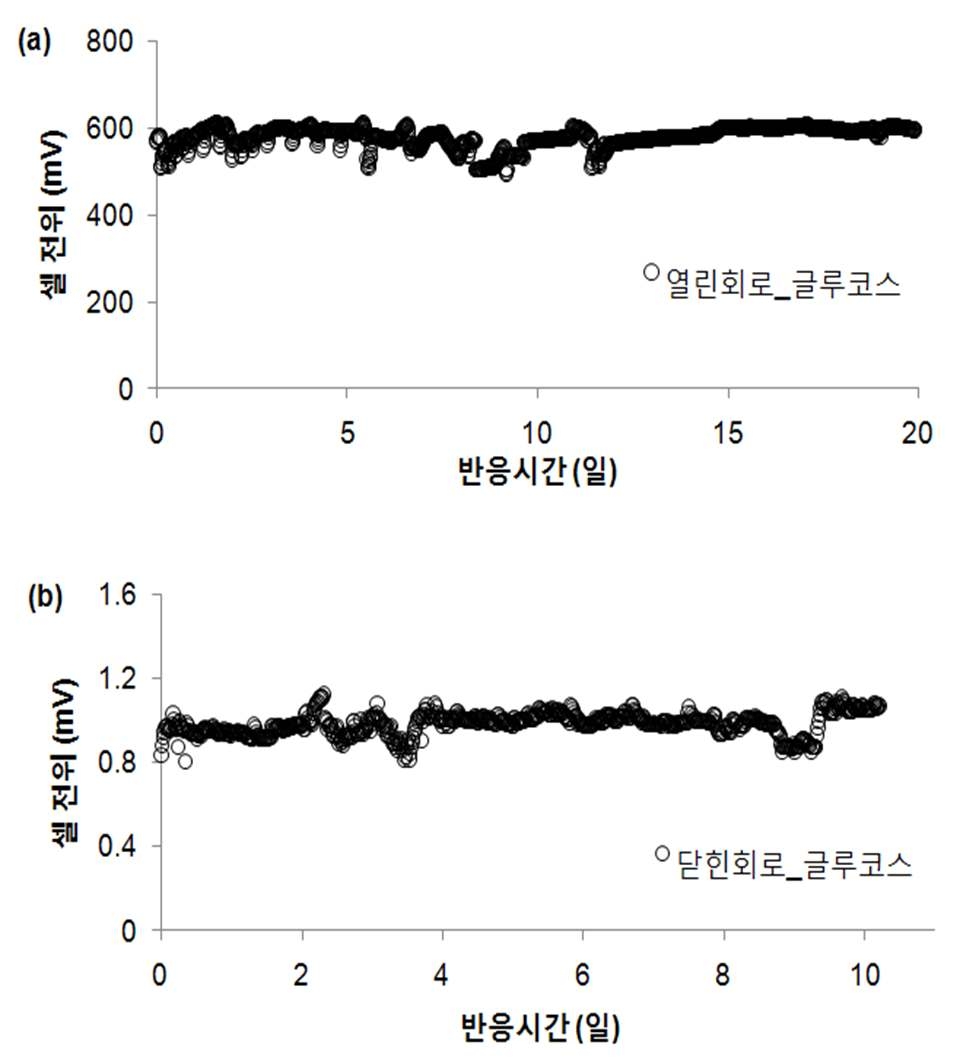 그림 3-99 연속식 미생물 연료전지에서 열린회로와 닫힌회로에 따른 전위 발생 비교 (a) 열린회로, (b) 닫힌회로