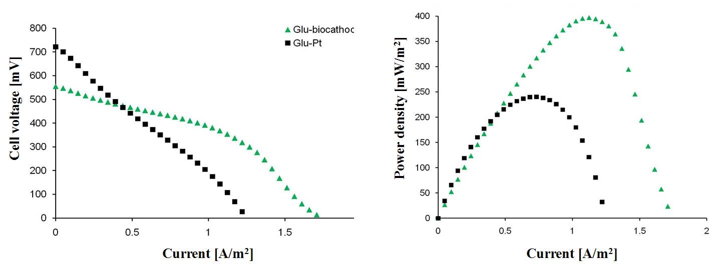 그림 3-108 글루코스 (Glu)를 기질로 이용한 Pt-MFC와 Biocathode-MFC의 polarization curve와 power curve