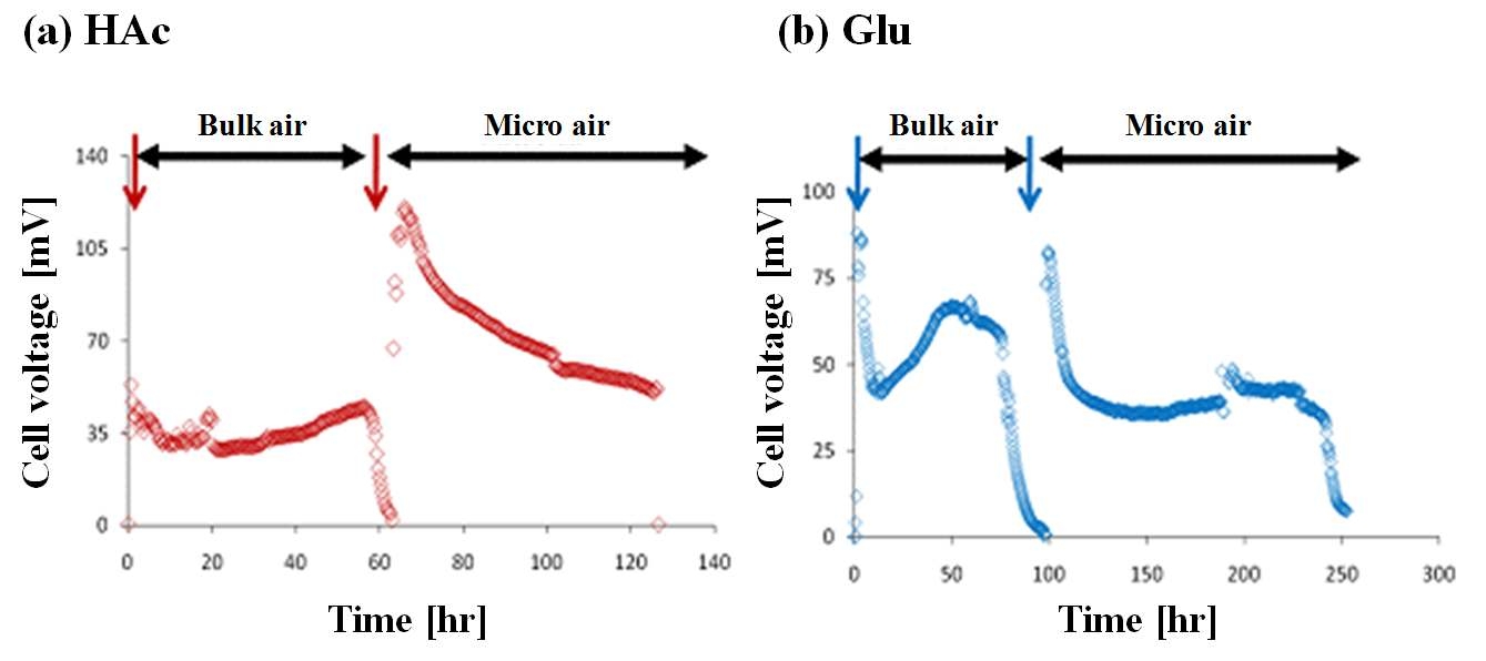 그림 3-110 산소 버블 사이즈에 따른 미생물연료전지의 전기화학적 성능평가, (a) 아세테이트, (b) 글루코스