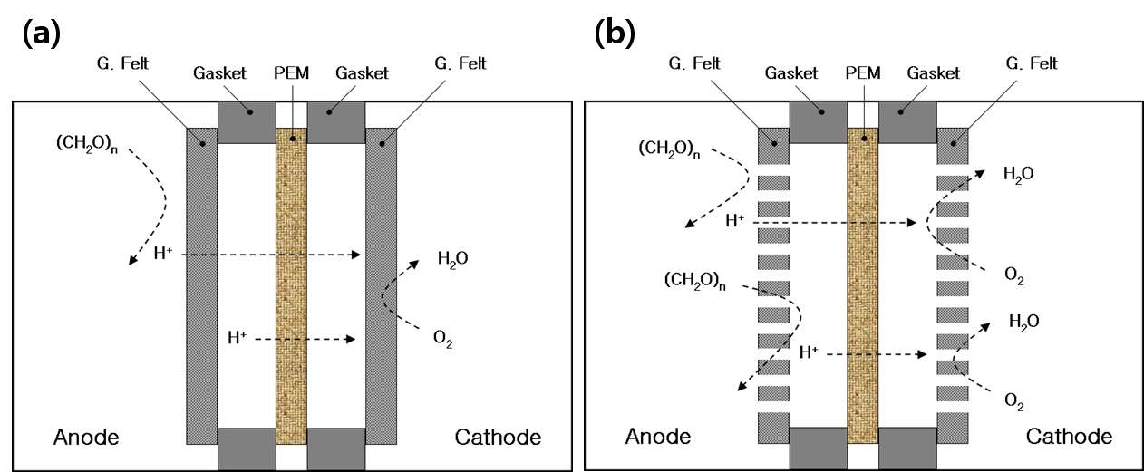 그림 3-9 전기화학활성박테리아 융합공정 단위 셀의 전극-멤브레인 구조 (a) 일반전극 사용 시, (b) 다공성 전극 사용 시