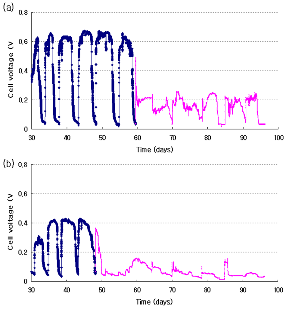 그림 3-36 90일 이상 연속운전 시 생물환원전극 미생물연료전지의 셀 전압 저하 현상 (a) 산소를 전자수용체로 사용한 생물환원전극 미생물연료전지, (b) 질산염을 전자수용체로 사용한 생물환원전극 미생물연료전지