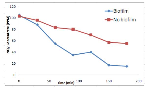 Biofilm 형성 유무에 따른 silicone 전극의 탈질 효율 비교