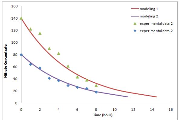 초기 농도를 다르게 했을 경우 실험결과 와 예측데이터 비교(80, 140 ppm)