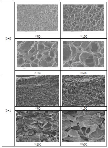 LDPE계 발포체의 sem image