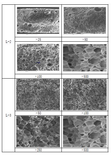 LDPE계 발포체의 sem image