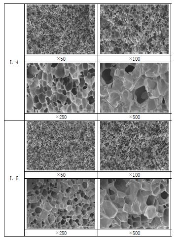 LDPE계 발포체의 sem image