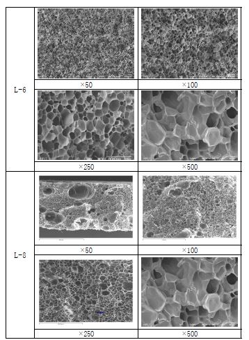 LDPE계 발포체의 sem image