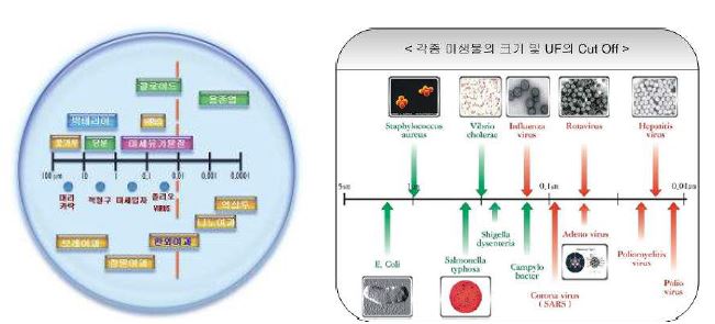 분리막의 분류 및 한외여과 제거능