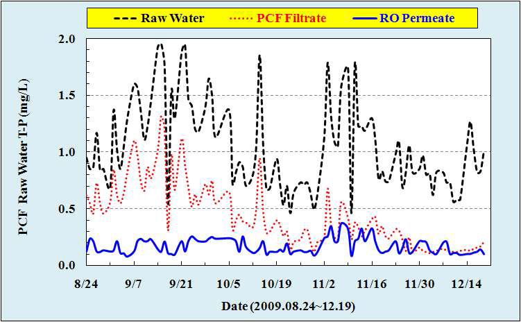 PCF & RO 처리수 T-P