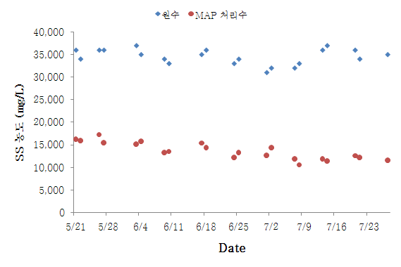 그림 14. MAP 반응조 최적운전 시 SS 농도