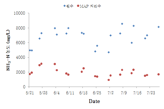 그림 15. MAP 반응조 최적운전 시 NH3-N 농도